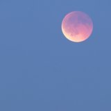 La Lune devient rouge, car l'astre glisse dans l'ombre de la Terre, qui fait alors écran aux rayons solaires, et elle perd peu à peu son éclat blanc. KEYSTONE/CYRIL ZINGARO